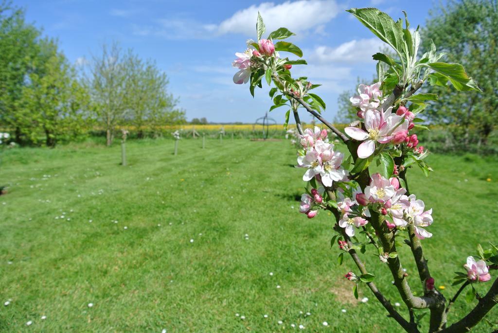 Frith * Newnham (Kent)